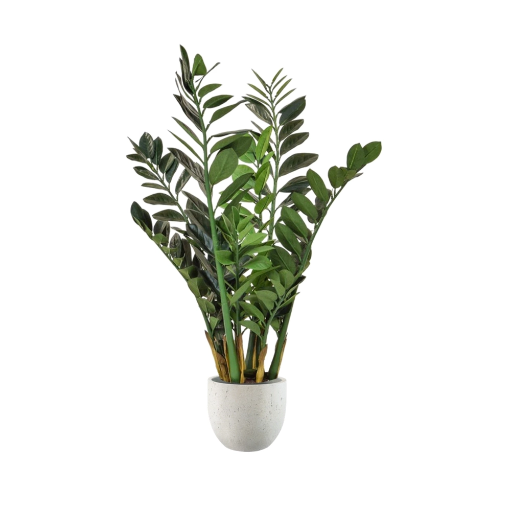 Zamioculcas Artificiel