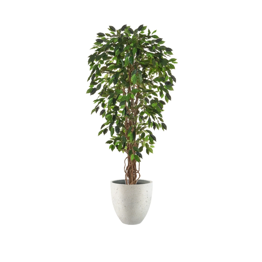 Ficus Liana Artificiel