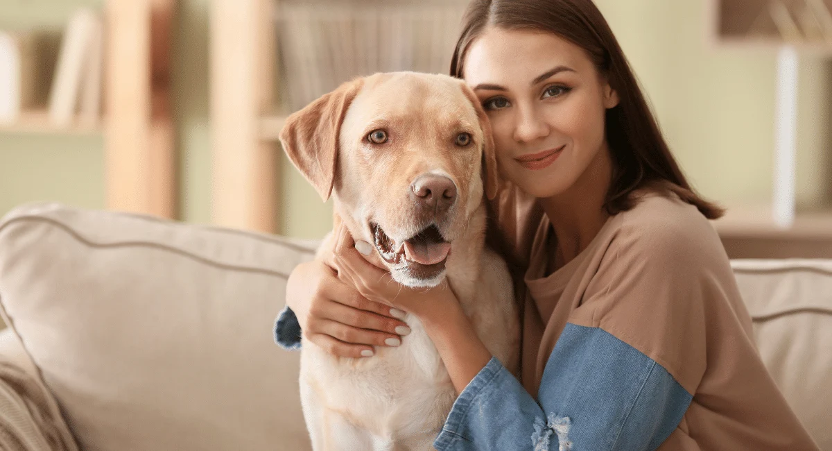 Benefícios do Premium Scenting para a saúde dos animais