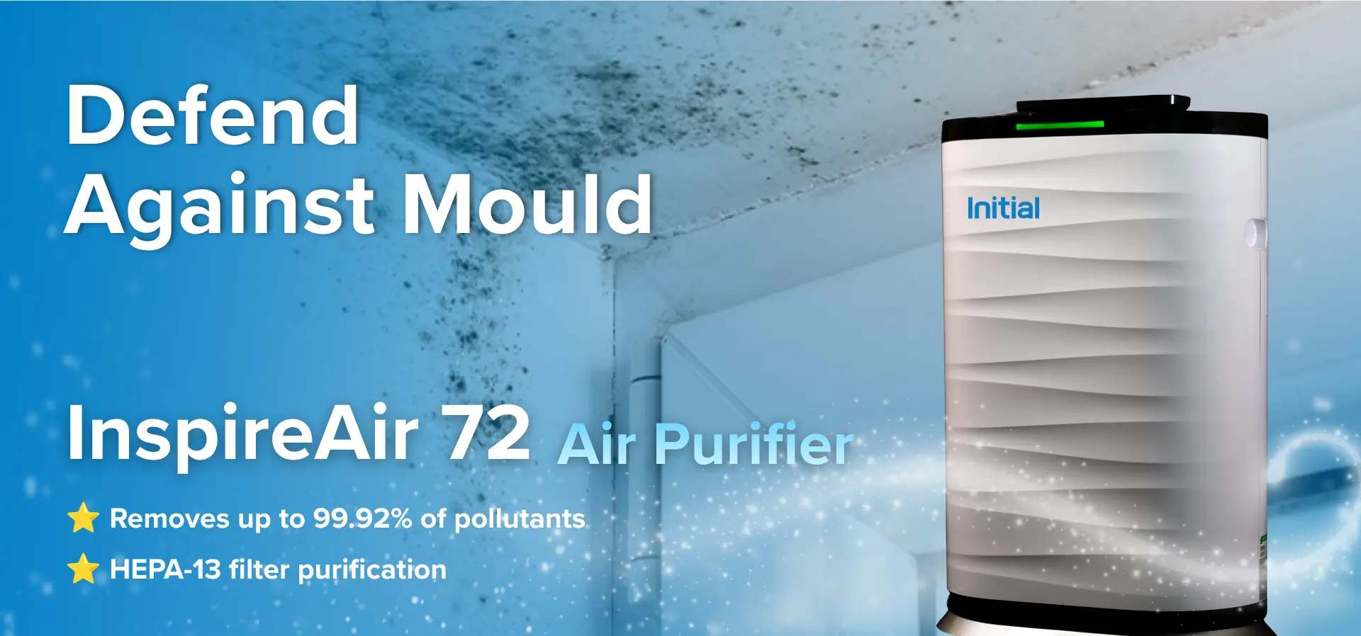 mould remediation