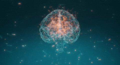 Neuronas realizando sinapsis en el cerebro
