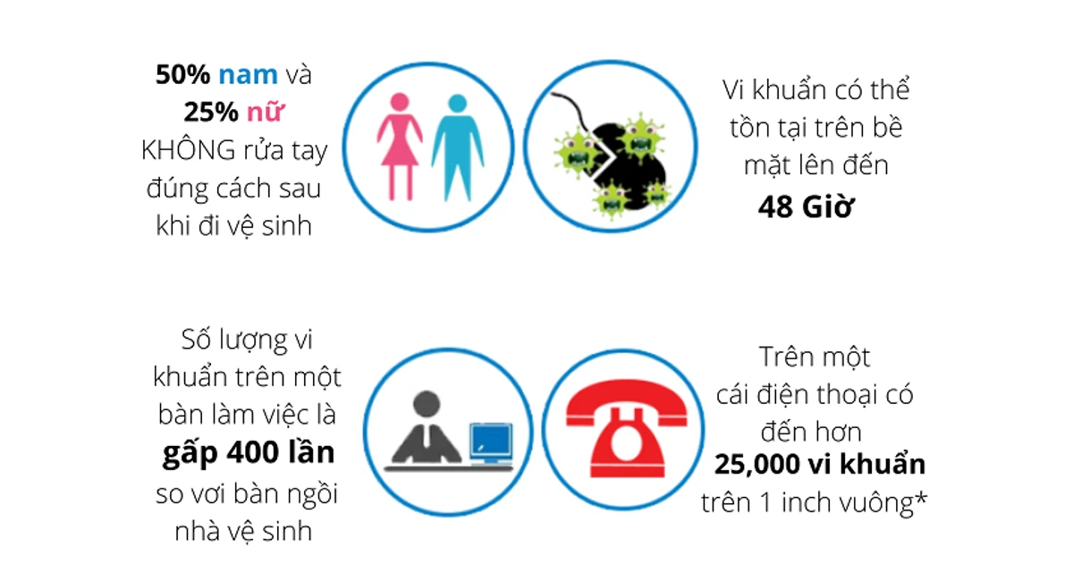 infographics 