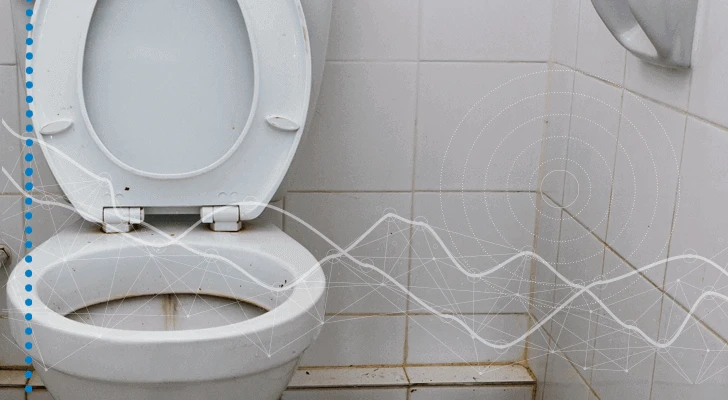 dirty toilet
