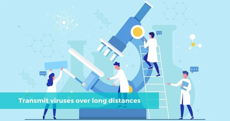 Transmit viruses over long distances