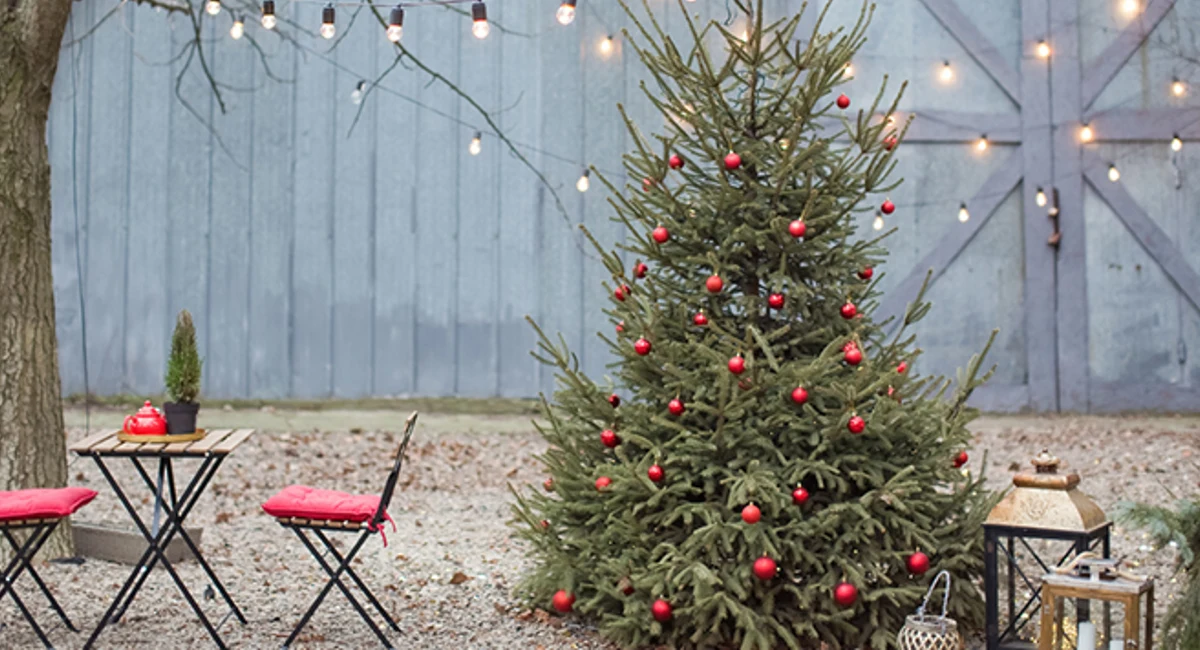 Installation de Noël en extérieur avec table, chaises et sapin
