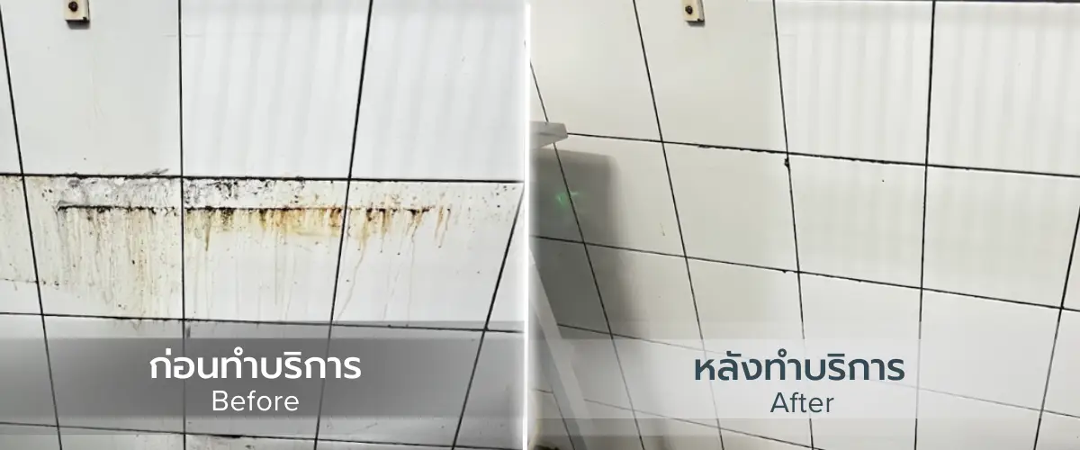 Kitchen deep clean
