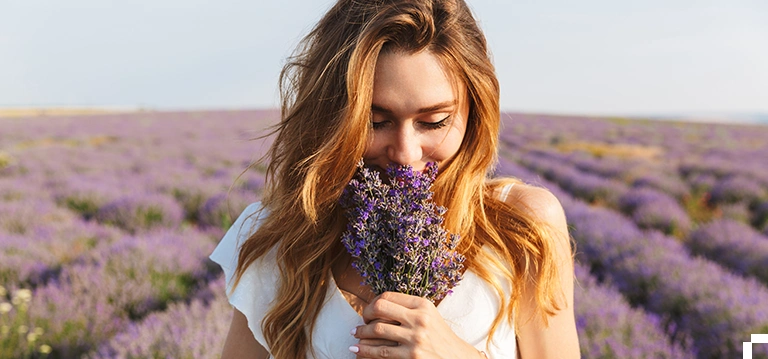 lavender