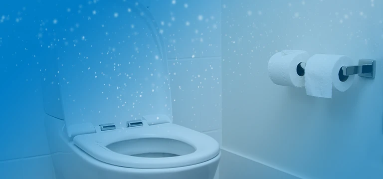 Toilet cubicle