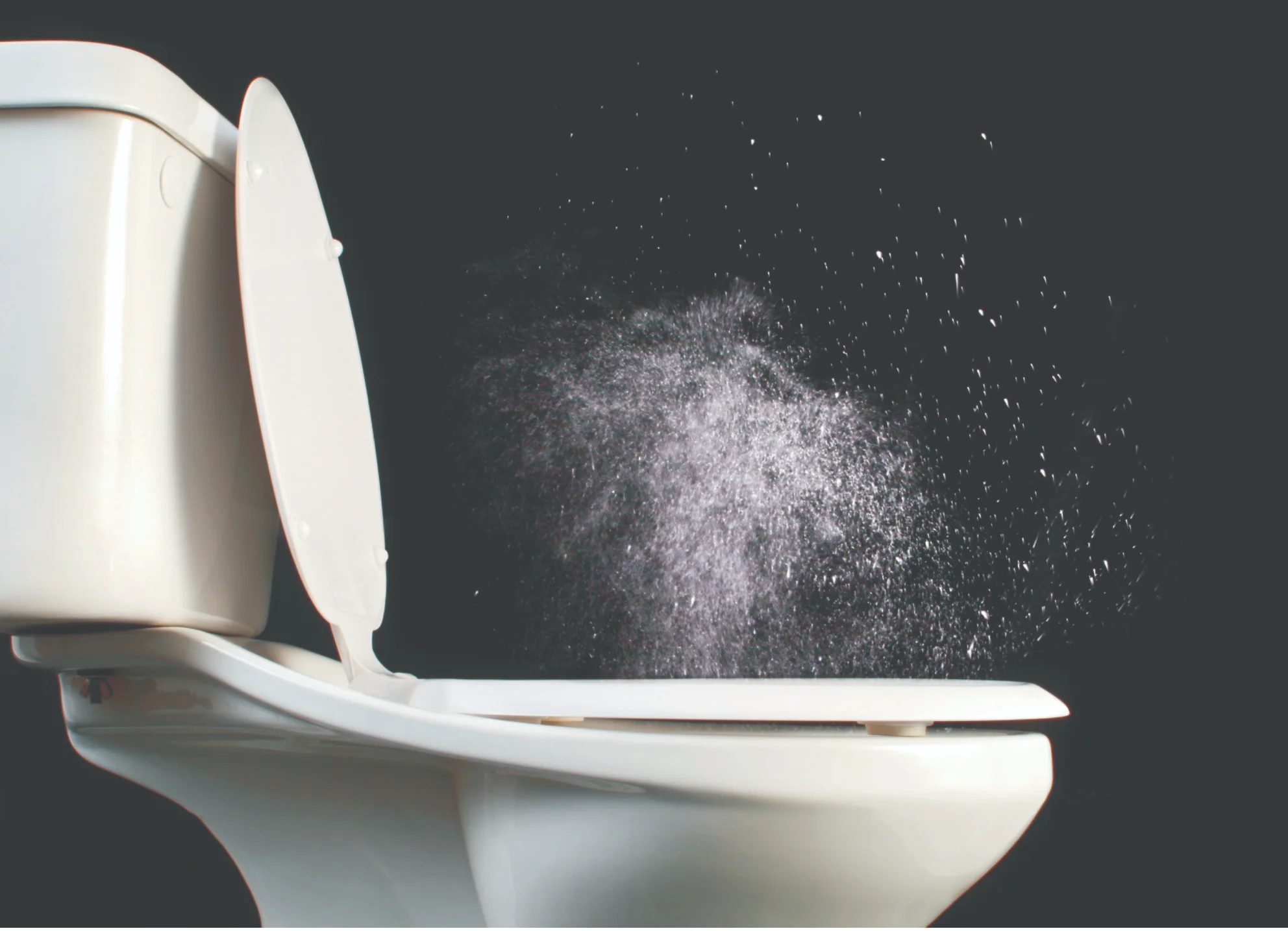 toilet spray