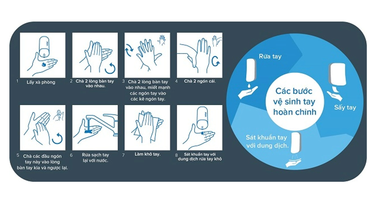 infographics 