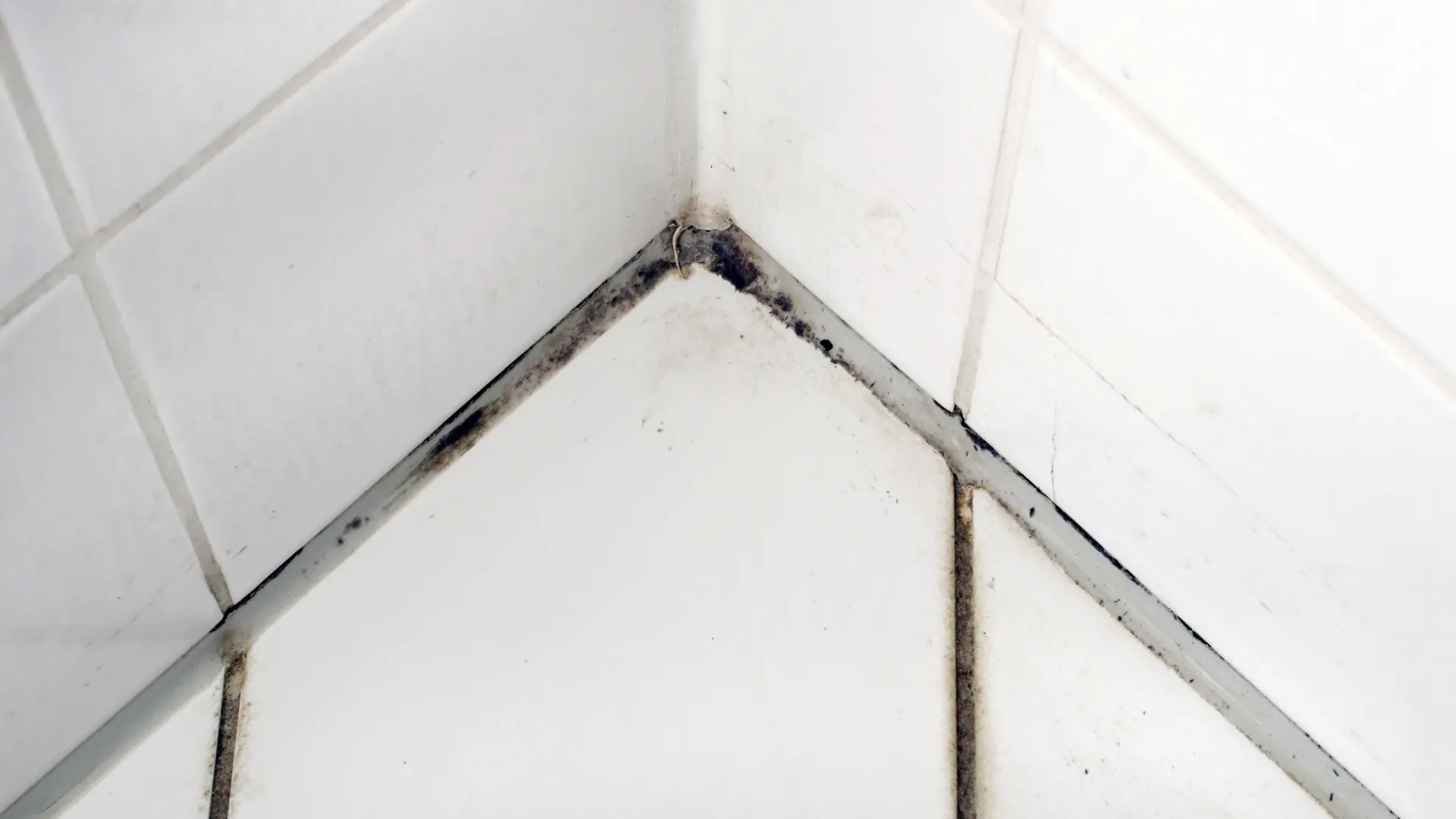 Mould-On-Wall