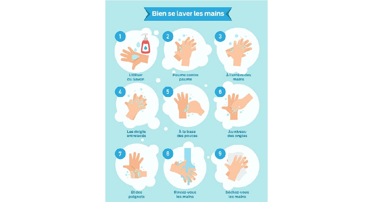 infographie grippe