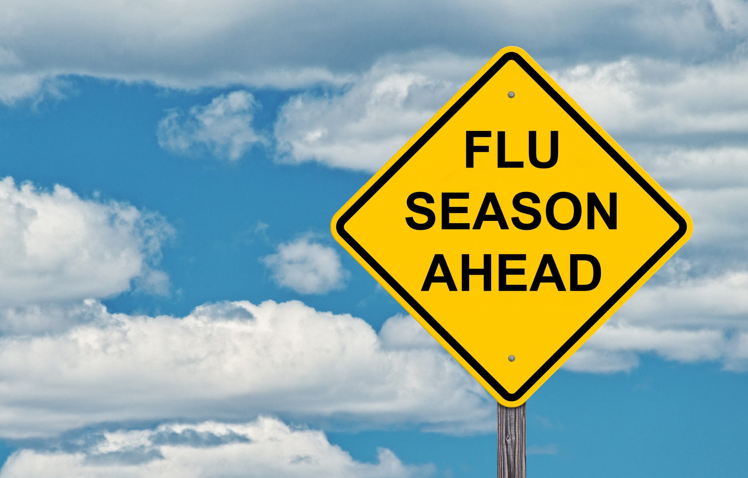 Flu season in singapore