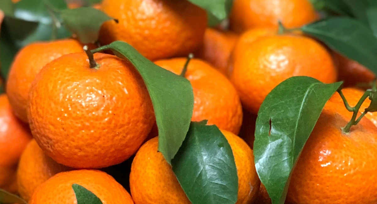 Aroma Mandarin Zest
