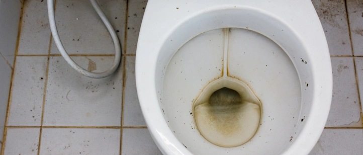 Les toilettes sont pleines de bactéries