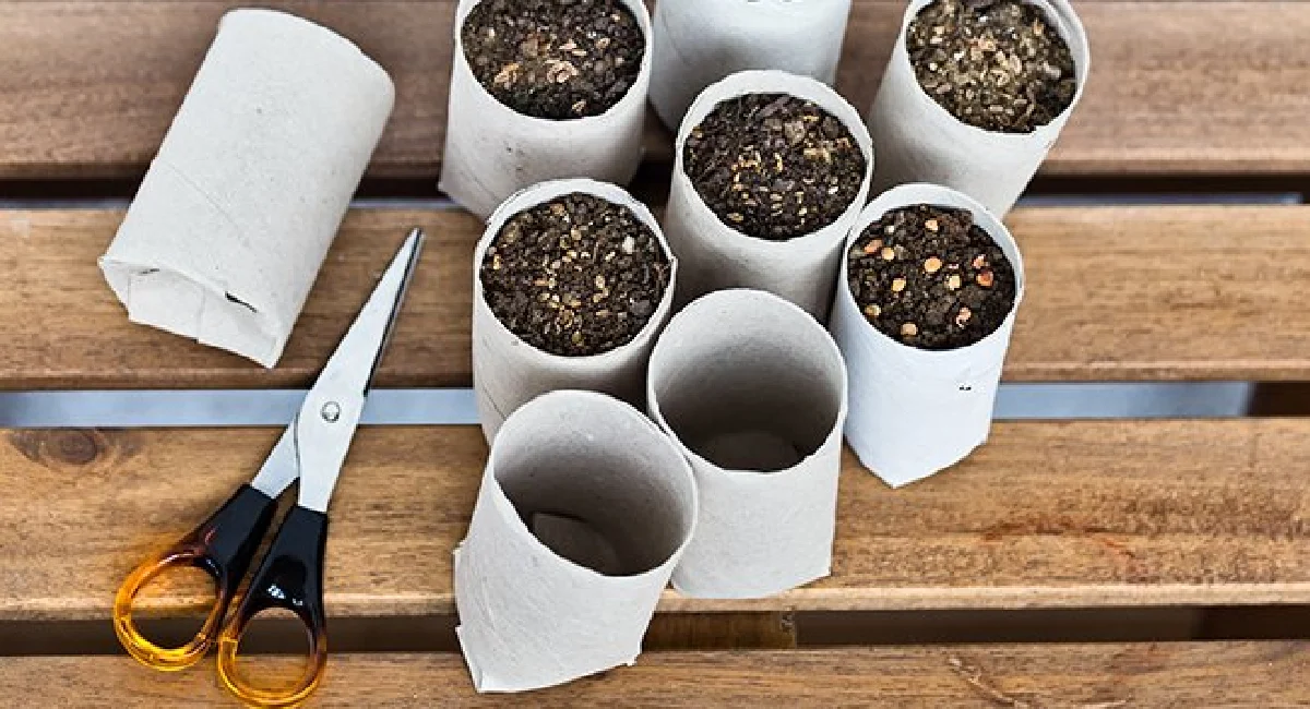rouleaux de papier toilette pot de fleur