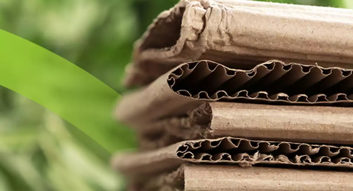 cardboard