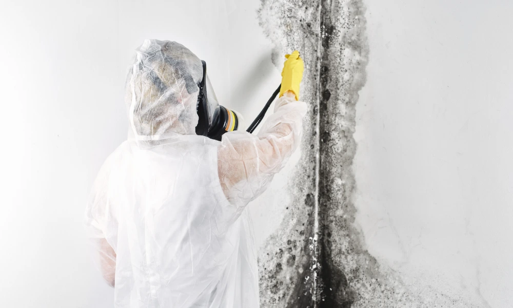 Mould-Remediation-Technician