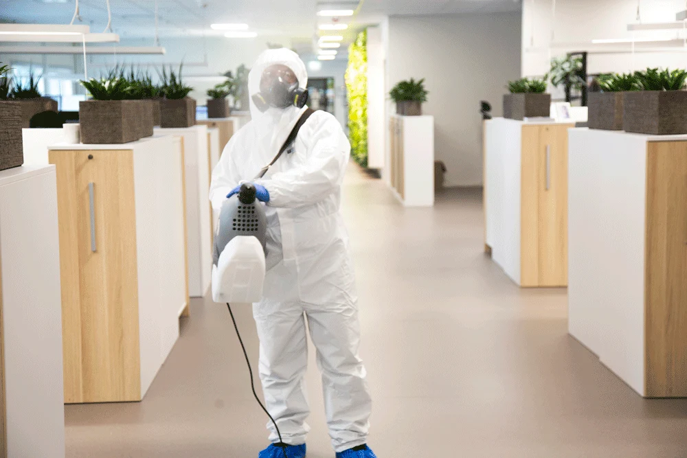 Rentokil colleague disinfecting an office space