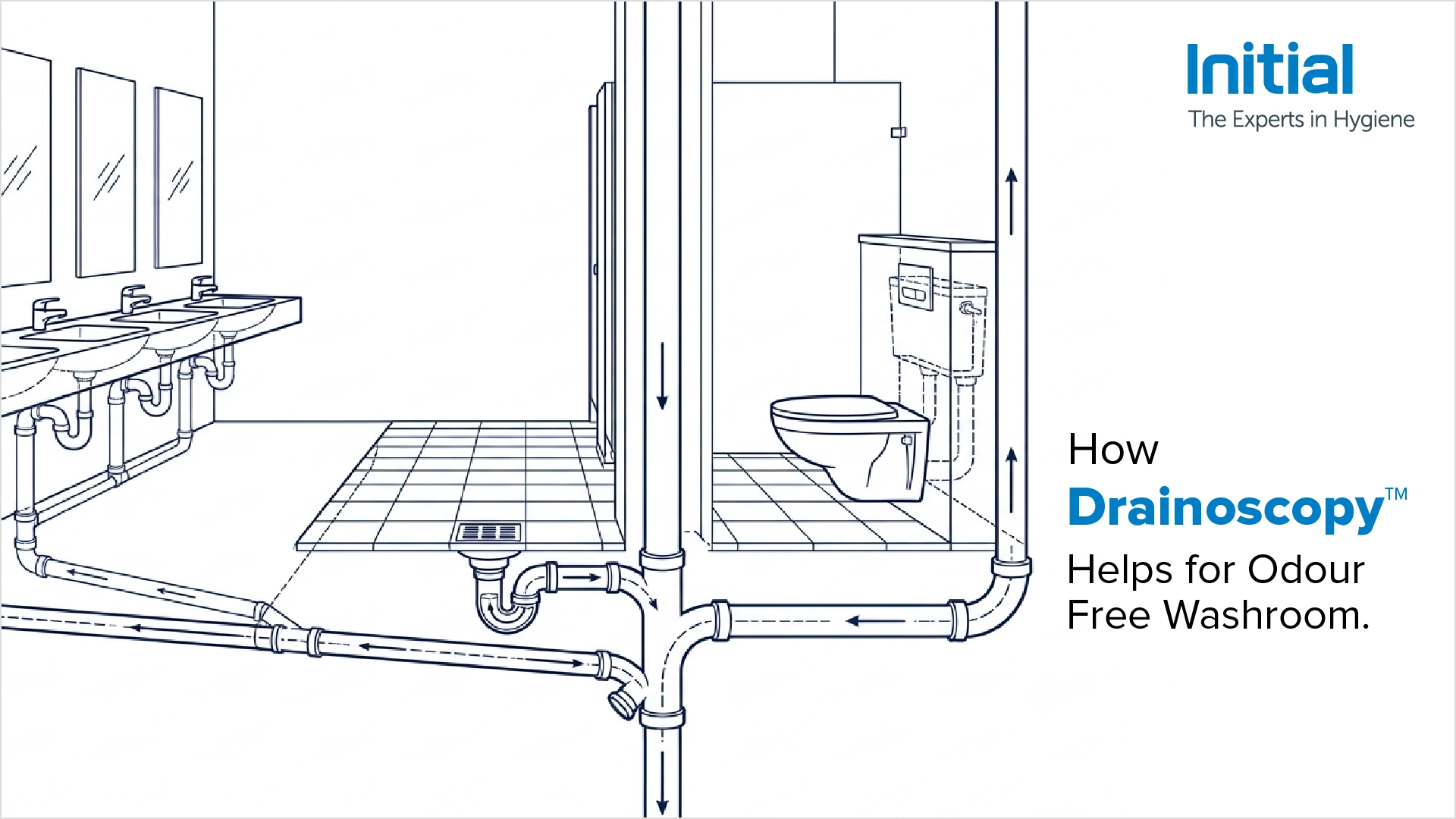 An image showing how the technique of`drainoscopy helps keep washroom drainage clean, reducing cockroaches and washroom pests and preventing infestations through effective pest control`