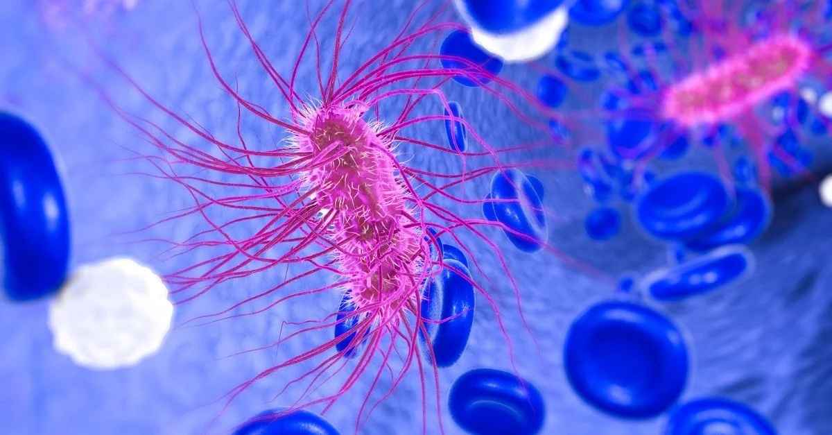 大腸桿菌（E. coli）是一種大而多樣的細菌群，自然存在於健康人類和動物的腸道中。