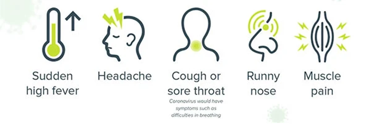 flu symptoms infographic