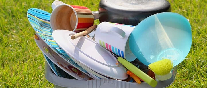 picnic plates
