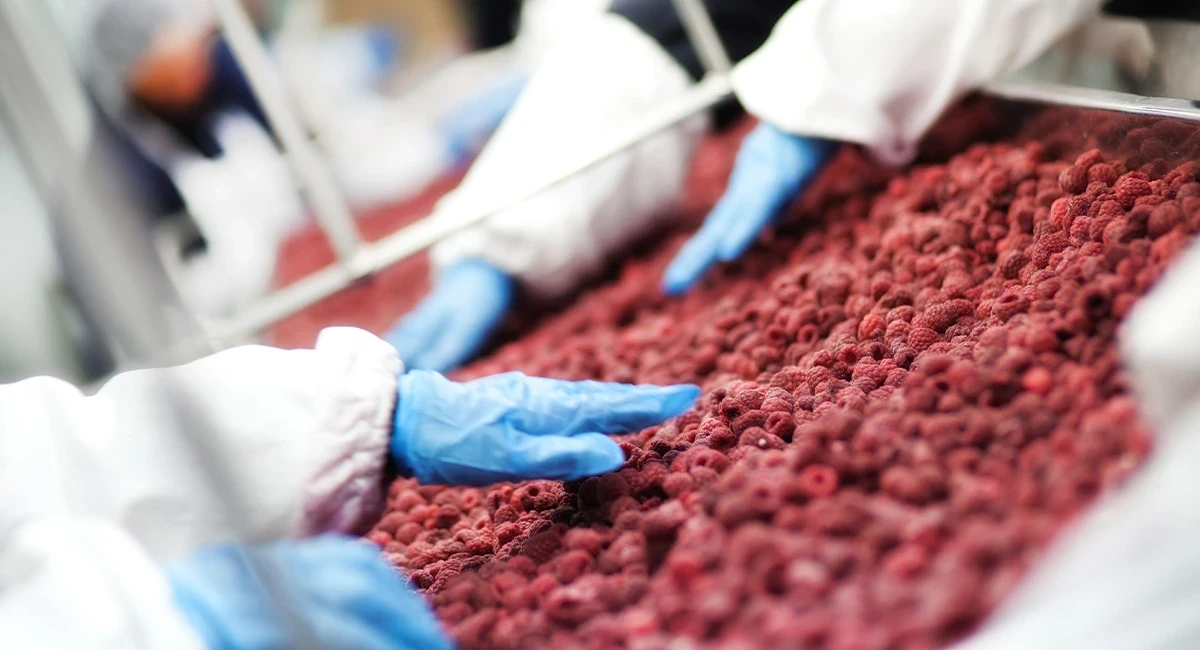 food processing factory
