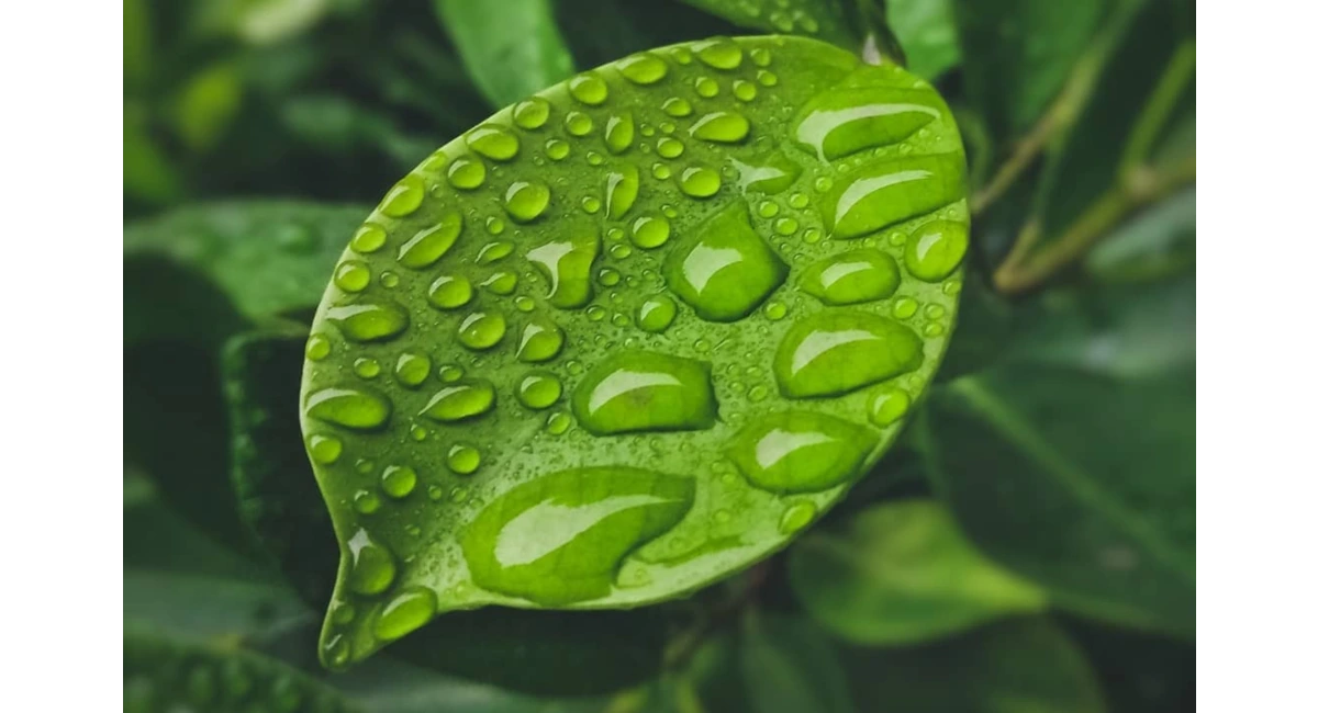 Sustainabilty