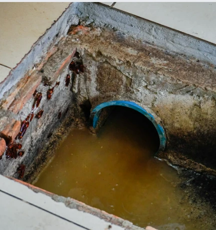 Grease trap