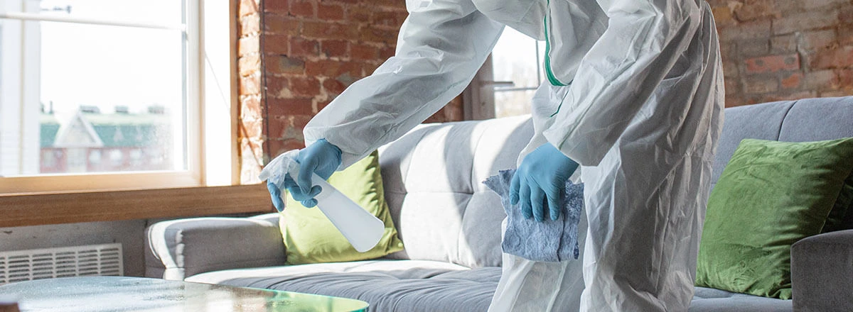 Surface Hygiene