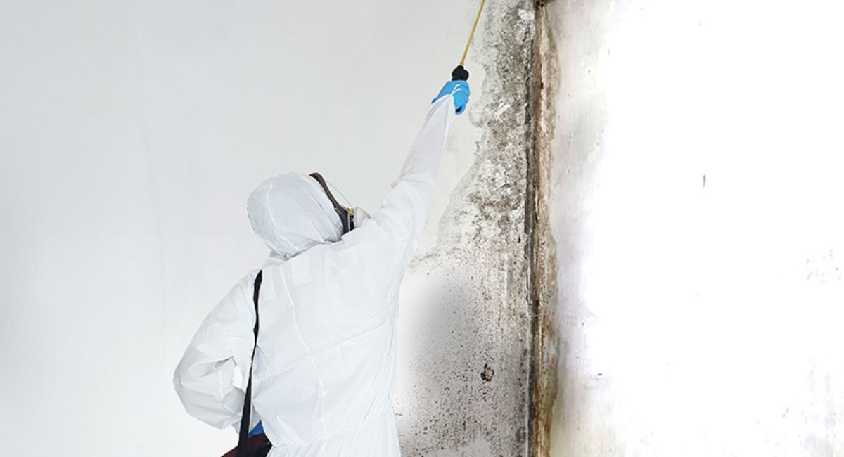 mould-remediation-treatment-service-initial