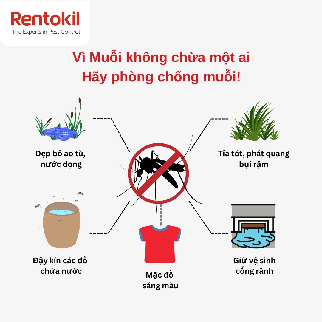 phong chong muoi
