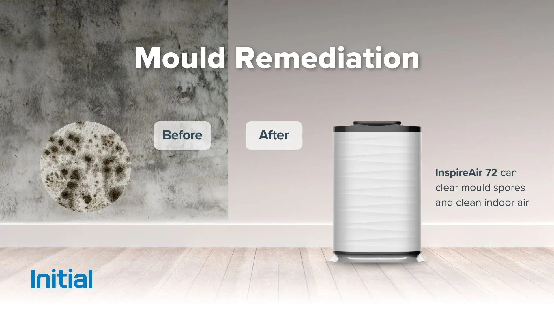 mould-remediation